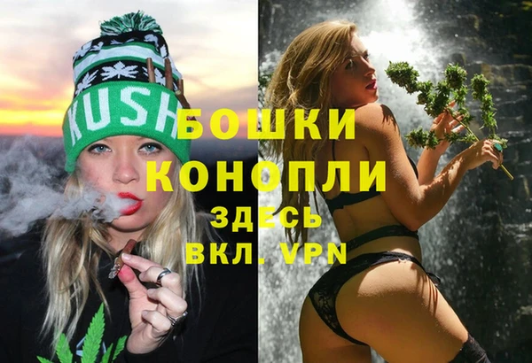 PSILOCYBIN Богородицк
