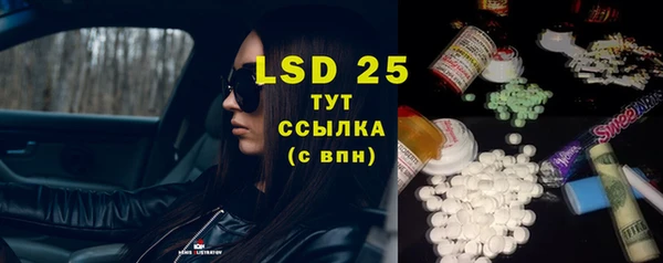 PSILOCYBIN Богородицк
