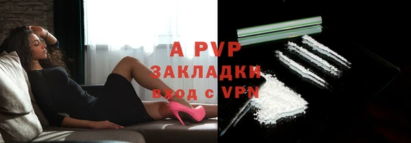 PSILOCYBIN Богородицк